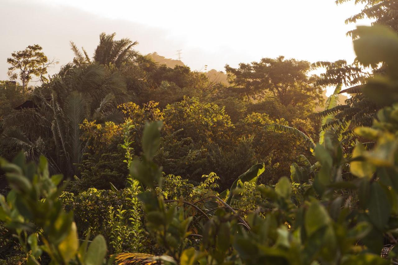 La Casita Del Bosque Villa Santa Marta  Bagian luar foto