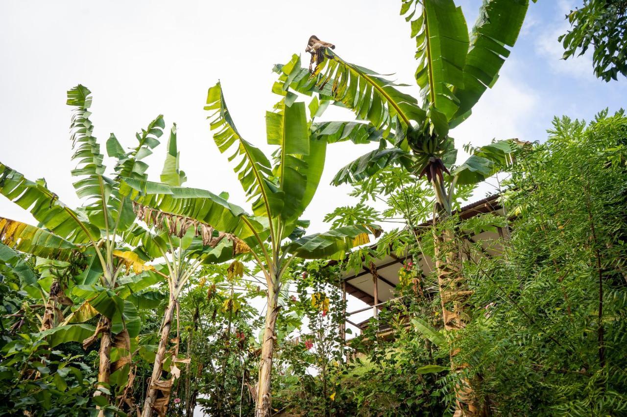 La Casita Del Bosque Villa Santa Marta  Bagian luar foto