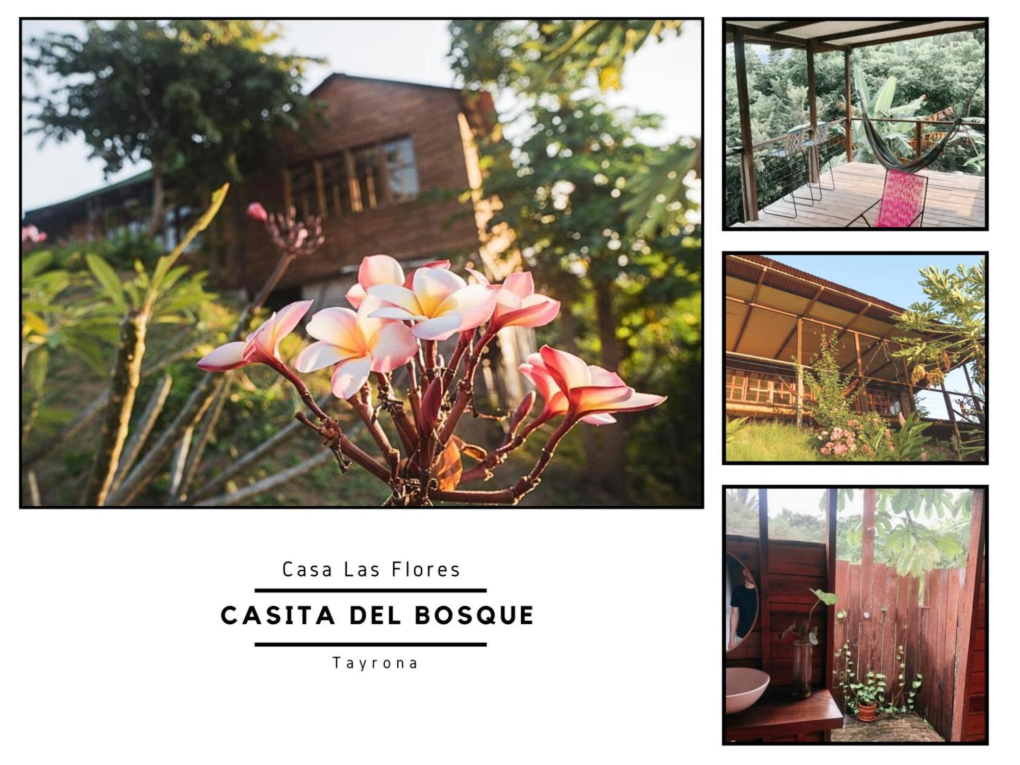 La Casita Del Bosque Villa Santa Marta  Bagian luar foto